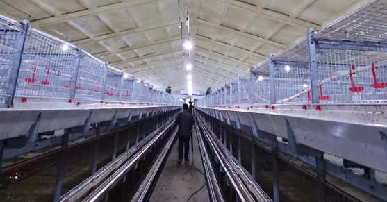 養鴨場老板：熱泵供暖溫度高，費用比燒煤還??！